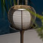 NEST TL1