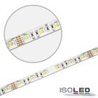 LED SIL RGB+WWW flexibilis szalag, 24V, 19W, IP20, 4in1 chip, 60 LED/m