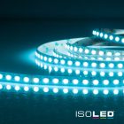 LED SIL RGB+WWW flexibilis szalag, 24V, 19W, 4in1 chip, 96 LED/m
