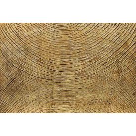 Arannyal szőtt - kézzel festett olajfestmény