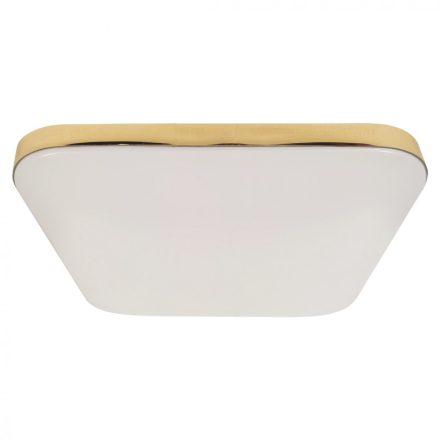 Mennyezeti NEMO GOLD 17W LED