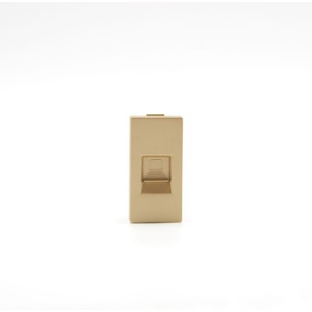 Z-Switch RJ45 CAT5e Internet aljzat (1/2es alkatrész) Arany