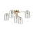 ARROW PL5