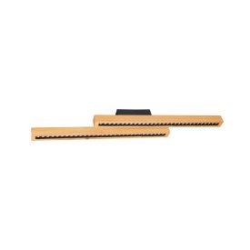 PINE PL2