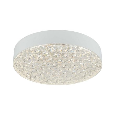 NEPTUN 40W