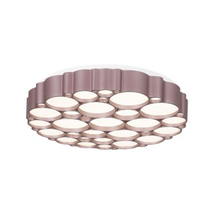 TERRA 48W