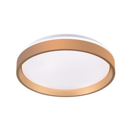 VALENTIS 24W