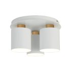 WHITISH PL3
