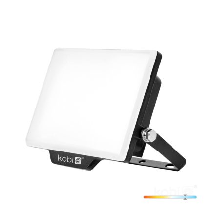 DELYO MHN LED-reflektor, 110°, IP65, 30 W, Hideg fehér, fekete
