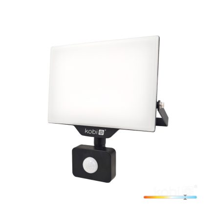 DELYO MHNC LED-reflektor, 110°, IP54, 30 W, Hideg fehér, fekete