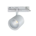 Track light LUMICANTO 6-20W CCT 36/60° white PRIME