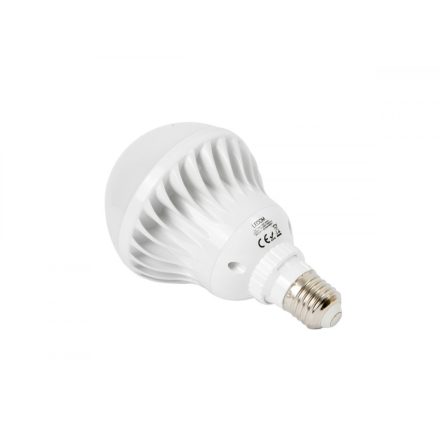 LEDOM E27 30W 4000K 3200lm 170-250V F100