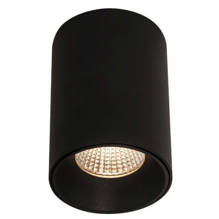 MAXLIGHT CHIP C0161