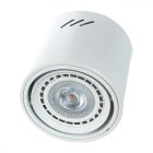 Mennyezeti lámpa TUBO WHITE 1xAR111 (IZZÓ NÉLKÜL)