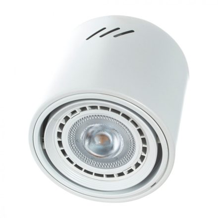 Mennyezeti lámpa TUBO WHITE 1xAR111 (IZZÓ NÉLKÜL)