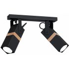 Mennyezeti lámpa VIDAR BLACK 2xGU10