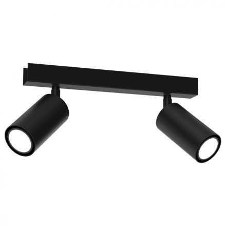 Mennyezeti lámpa HUDSON BLACK 2xGU10