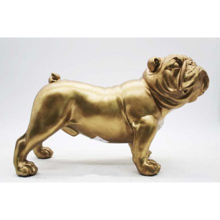 Arany angol bulldog - szobor