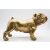 Arany angol bulldog - szobor