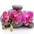 Orchideák a köveken - üvegkép