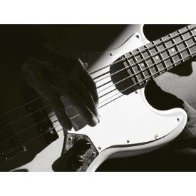 Elektromos gitár - vászonkép