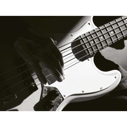 Elektromos gitár - vászonkép
