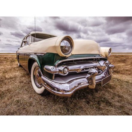 Old Timer a terepen - vászonkép