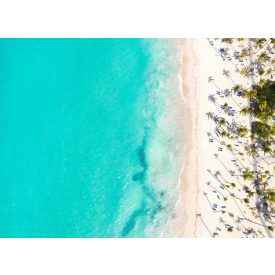 Palm Beach - üvegkép