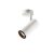 NUMINOS® SPOT PHASE M