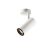NUMINOS® SPOT PHASE M