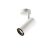 NUMINOS® SPOT PHASE M