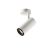 NUMINOS® SPOT PHASE M