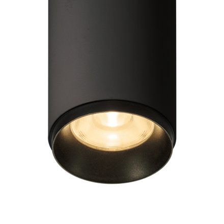 NUMINOS® CL PHASE M