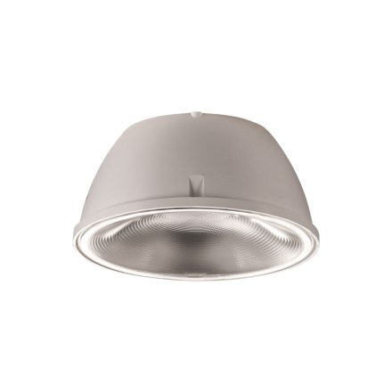 NUMINOS® SPOT PHASE L