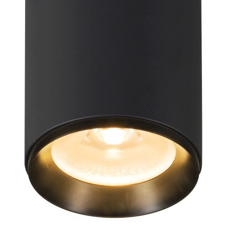 NUMINOS® DALI XL
