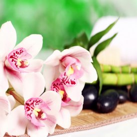 Orchidea és bambusz - vászonkép