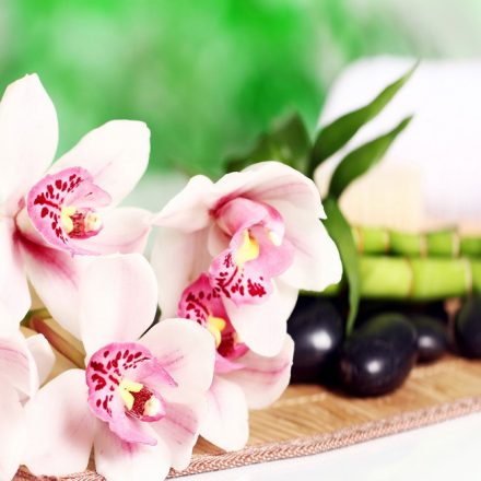 Orchidea és bambusz - vászonkép