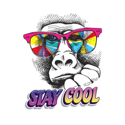 Stay cool - vászonkép