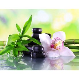 Rózsaszín orchidea  - vászonkép