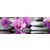 Orchidea tükörkép - vászonkép
