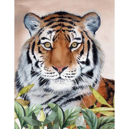 Figyelő tigris - vászonkép