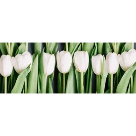 Tulipános sor - vászonkép