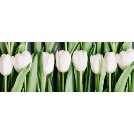 Tulipános sor - vászonkép