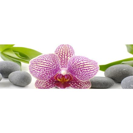 Csíkos orchidea - vászonkép