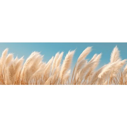 Pampafű - vászonkép