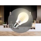 LED Filament 5W CLEAR - A60 / E27 / 3000K - ZLF511A