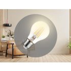 LED Filament 8W - A60 / E27 / 3000K - ZLF512