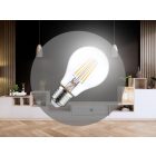 LED Filament 5W CLEAR - A60 / E27 / 4000K - ZLF521A