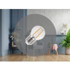 LED Filament 2W - G45 / E27 / 3000K - ZLF815