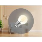 LED Filament 6W - G45 / E27 / 3000K - ZLF818